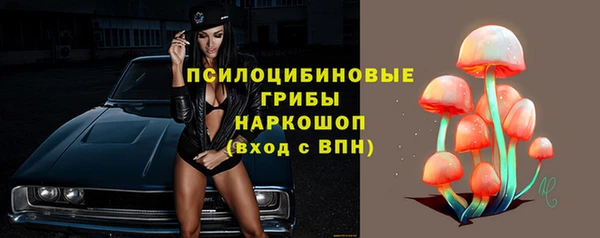 прущие крисы Михайлов