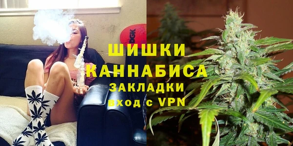 твердый Надым