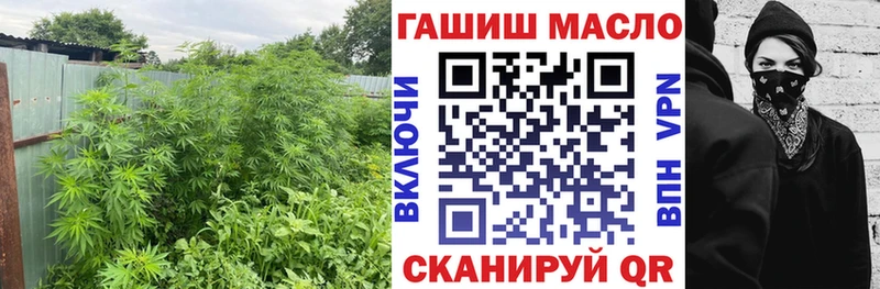 ТГК вейп  Купить закладки  Любим 