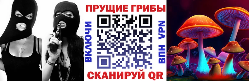 Галлюциногенные грибы прущие грибы  Купить где  Любим 